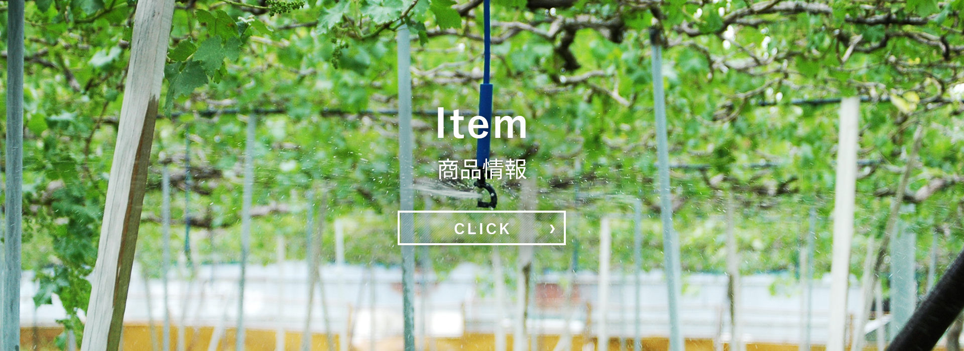 IRRITEC・PLUSのホームページへようこそ
